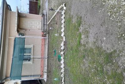 Vand casa cu teren Ilfov - 4