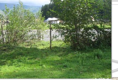 Teren de 2121 mp, în Nucșoara - 5