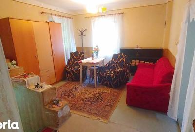 Casă cu 4 camere cu Teren 108 Mp în Topleț - 5