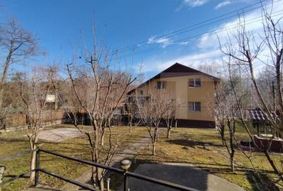 Casă cu 5 camere cu Teren 1166 Mp în Drajna - 12