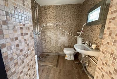 Casa individuala, cu garaj in Andrei Mureasanu - 11