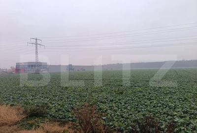 Teren de 15000 mp, în Păulești - 4