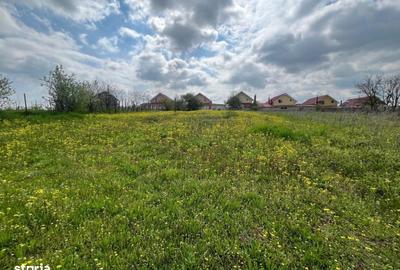 Spațiu comercial, în Malu Mare - 5