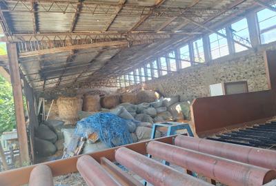 Spațiu comercial, în Beiu - 3