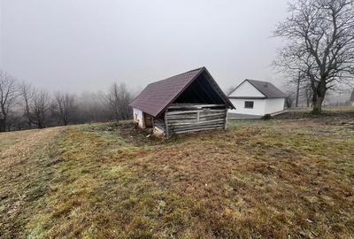 RECO, casa in Sinteu, aproape de Huta Slavia - 10