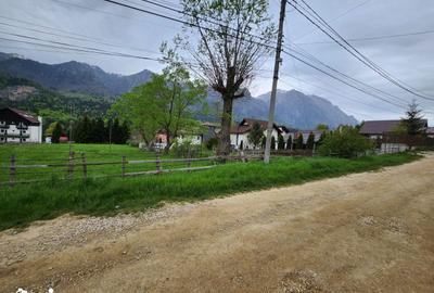 Teren de 2675 mp, în Poiana Țapului - 2