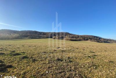 Teren de 7500 mp, în Șelimbăr - 2