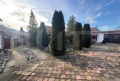 Vand casa cu 4 camere in Orastioara de Jos - 19