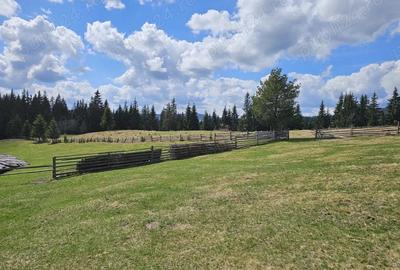 Teren de vanzare 15 hectare in Bucovina Moldova Sulita zona Lucina - 10