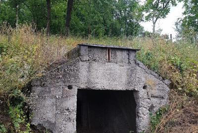 Parava, sat Dragusani, teren 4800mp, la asfalt - 8