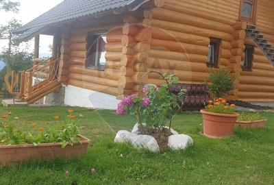 Hotel/Pensiune, de 240 mp, în Costești (Albac) - 2