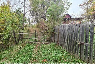 Casă cu Teren 14340 Mp în Breaza - 3