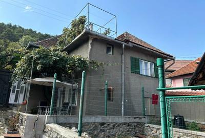 Casa in Marginimea Sibiului - Rasinari, jud. Sibiu Casa in Marginimea Sibiului - Rasinari, jud. Sibiu - 18