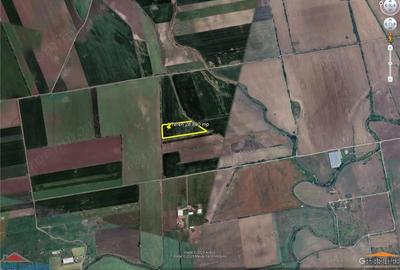 Teren de 28800 mp aproape de drumul Arad - Iratos - 3