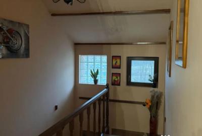 Casă cu 8 camere cu Teren 5000 Mp în Malu Mare - 3