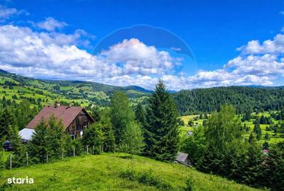 Spațiu comercial, în Galbena - 5