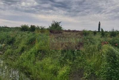 Teren agricol intravilan de 9974 mp, în Corbeanca - 2
