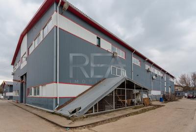 Doua hale / spatiu industrial + birouri 5000 mp / Sector 4 - 4