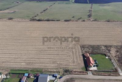 Teren de 6400 mp, în Stupini