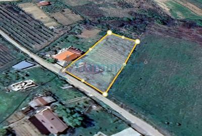 Teren Construcții intravilan de 2300 mp, în Dealuri Oradea - 4