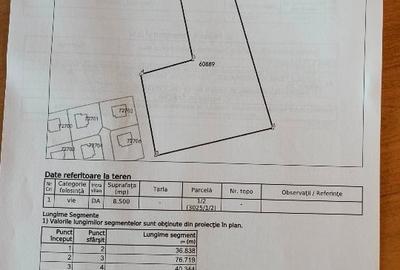Vând teren 8500 mp intravilan Bucium dealul crăițelor - 3