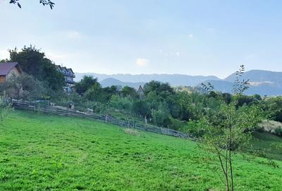 Teren pentru investitie sau casa de vacanta , Pestera , Brasov - 1