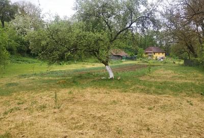 Casă cu 3 camere în Hărțăgani - 5