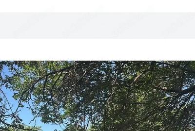 Casă cu 3 camere cu Teren 1600 Mp în Central