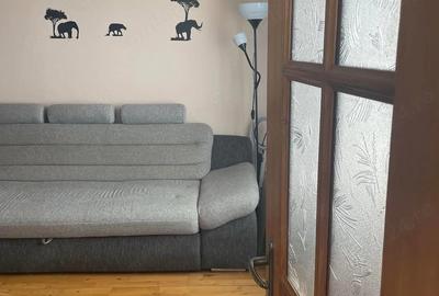 Apartament cu 3 camere decomandat în Paltiniș - 3