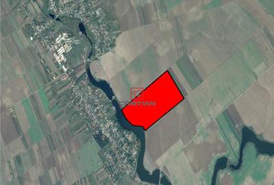 Teren Frumusani - DN4, Calarasi - 1