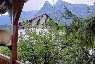 Busteni, central - 3