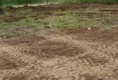 Teren Intravilan 550 mp Bod/Sanpetru - 2