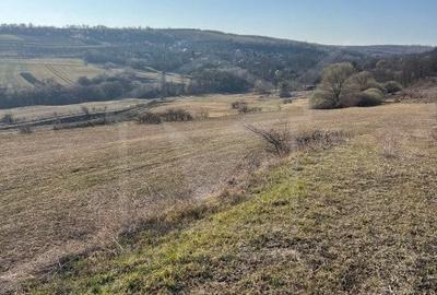 Teren extravilan in Saliste - 2