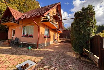 Casă cu 4 camere cu Teren 330 Mp în Timișu de Jos - 6