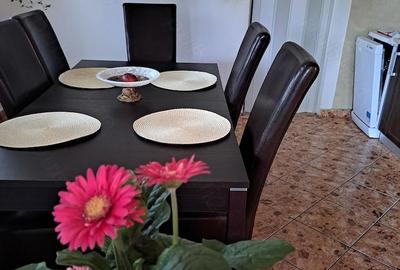 Casă cu Teren 2800 Mp în Orașu Nou - 3