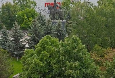 Apartament cu 2 camere decomandat în Ultracentral - 7