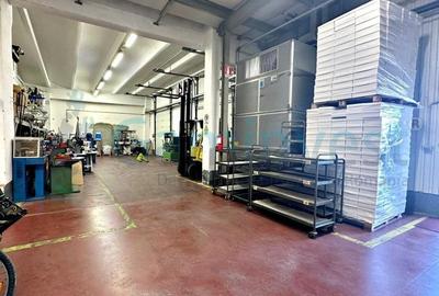 Spațiu industrial, de 2,015 mp, în Oncea - 5