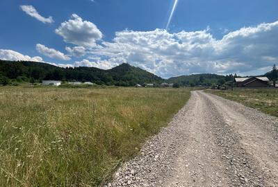 Teren intravilan de vânzare – 1000 mp – Cristian, județul Brașov - 9