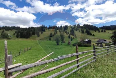 Teren agricol extravilan de 14318 mp, în Panaci - 4
