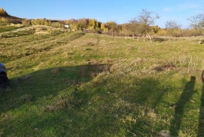 Teren Construcții intravilan de 2490 mp, în Voila - 8