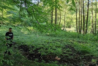 Spațiu comercial, în Vlădeni - 1