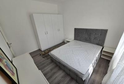 Prima inchiriere. Curte proprie. La asfalt. - 12