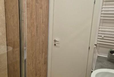 Garsonieră decomandată, mobilată în Timișoara - 10