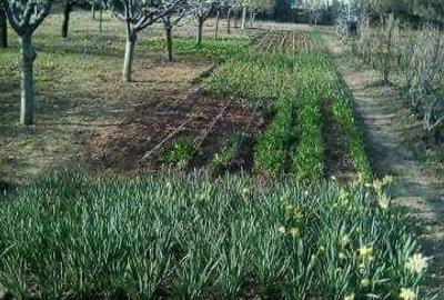 Casă cu 6 camere în Moldoveni - 8