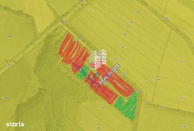 Spațiu comercial, în Șercaia - 3