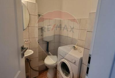 Apartament cu 3 camere de inchiriat in zona Micalaca - 17