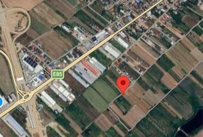 Teren de 2500 mp, în Afumați