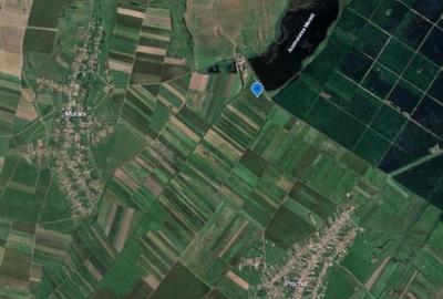 Spațiu comercial, în Pișchia - 2