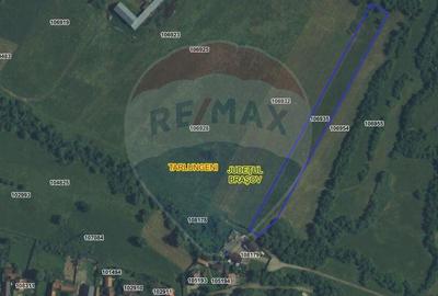 Teren 5.800 mp Purcareni curent, gaz, apa / Strada 30 de... - 18