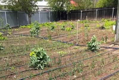 Casa cu gradina mare ?i vie, Odaia Manolache toate utilita?ile! - 7